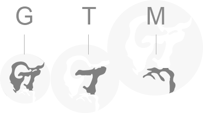 “GTM”三個英文字母組成，代表黃金時代管理：